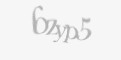 Защитный код