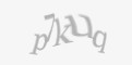 Защитный код